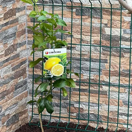 Casa de Férias Sofiamarholidays O Cantinho Da Avó Bina Moita (Guarda)