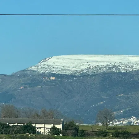 Sofiamarholidays O Cantinho Da Avo Bina * Moita (Guarda)