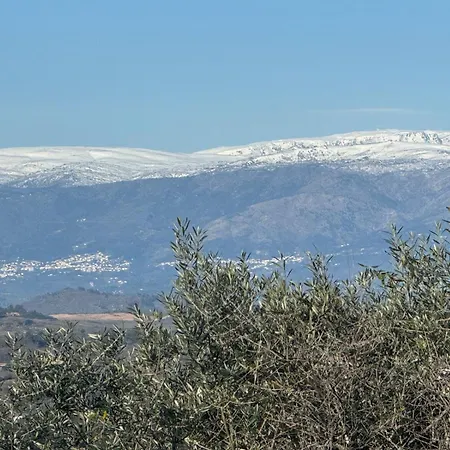 Casa de Férias Sofiamarholidays O Cantinho Da Avó Bina