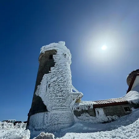 Sofiamarholidays O Cantinho Da Avo Bina Tatil Evi *