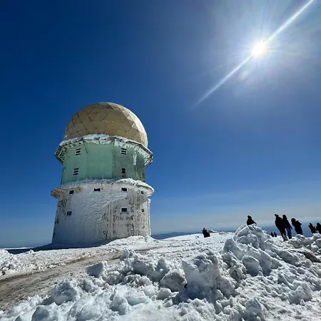 Sofiamarholidays O Cantinho Da Avo Bina *