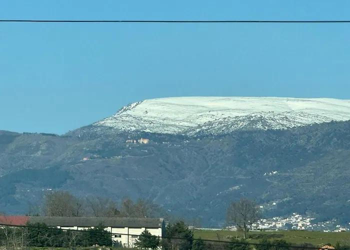 Sofiamarholidays O Cantinho Da Avo Bina * Moita (Guarda)