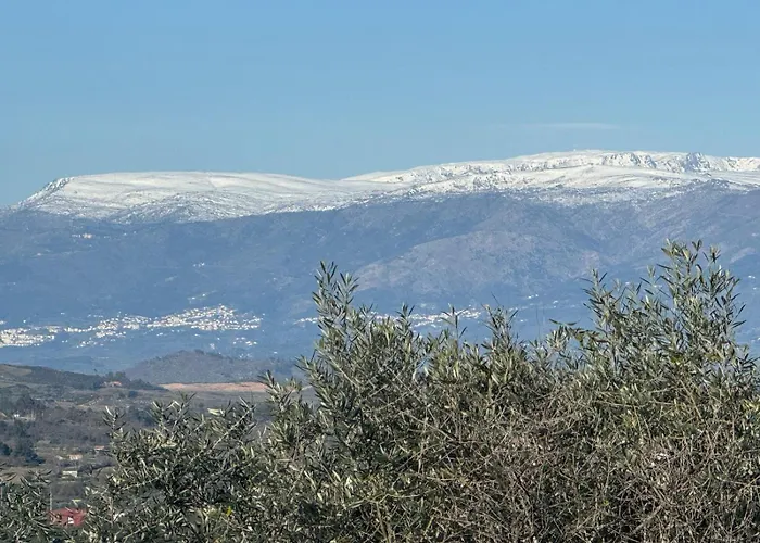 Hébergement de vacances Sofiamarholidays O Cantinho Da Avo Bina
